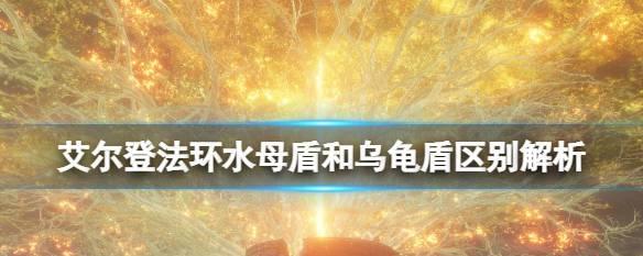 《艾尔登法环水母支线任务全面攻略》（从零开始）