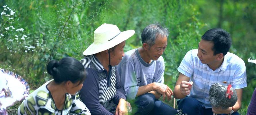 玩转二战风云传芦花开局攻略（一步步教你成为游戏高手）